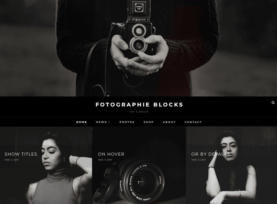 Fotografie Blocks By Catch Themes WordPress